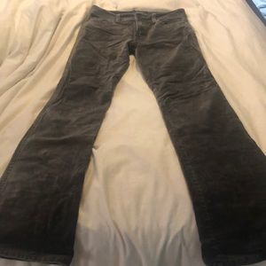 Crushed velvet grey pants
